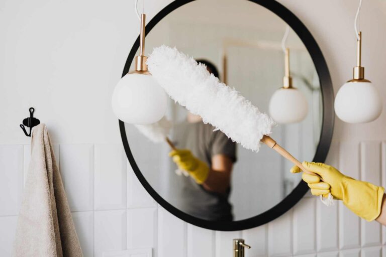 domestic cleaning