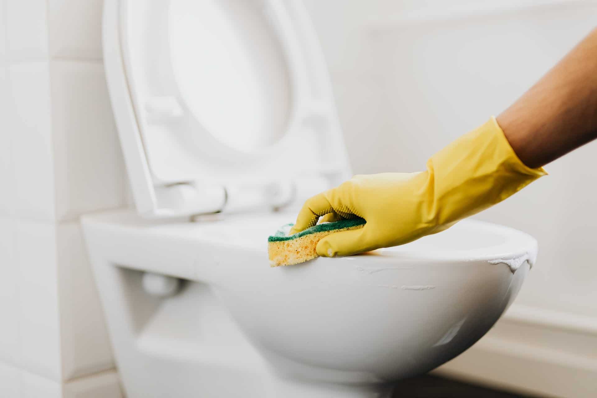 Professional, Residential & Commercial Cleaning Service.
